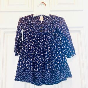 2T Carters Blue Floral Cottagecore Girls Dress w/button closure neckline